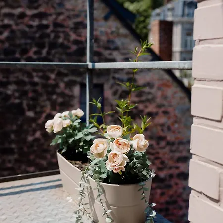 Appartement Logis Le P'tit Rouillon Au Rythme De La Meuse *